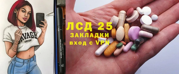 ГАЛЛЮЦИНОГЕННЫЕ ГРИБЫ Балахна