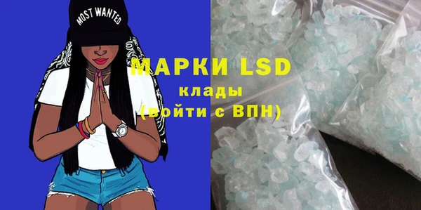 ГАЛЛЮЦИНОГЕННЫЕ ГРИБЫ Балахна