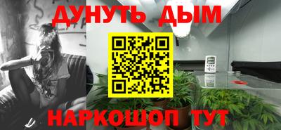 трава Будённовск