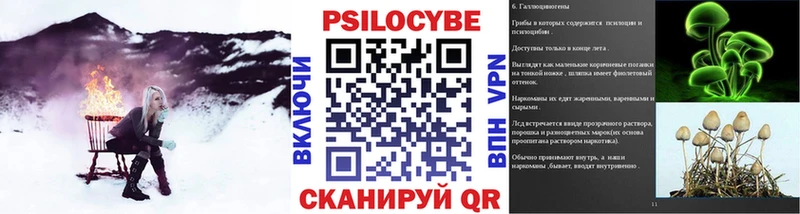Галлюциногенные грибы GOLDEN TEACHER  магазин  наркотиков  Воскресенск 