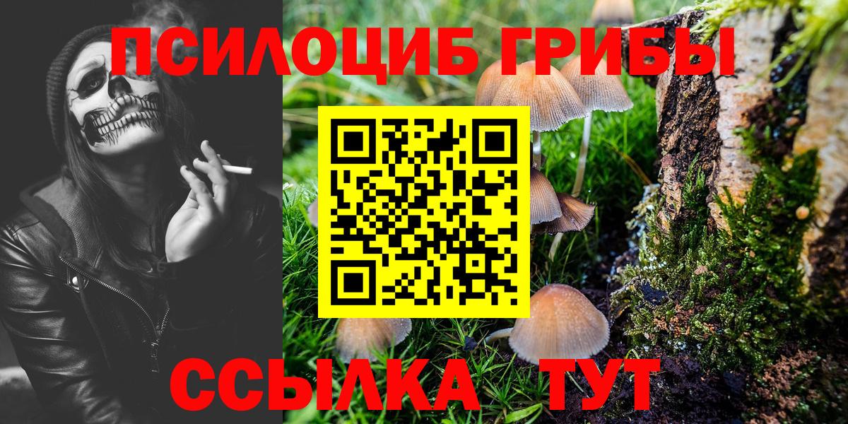Галлюциногенные грибы Psilocybe  даркнет сайт  Вход с VPN  Воскресенск  Псилоцибиновые грибы мухоморы 