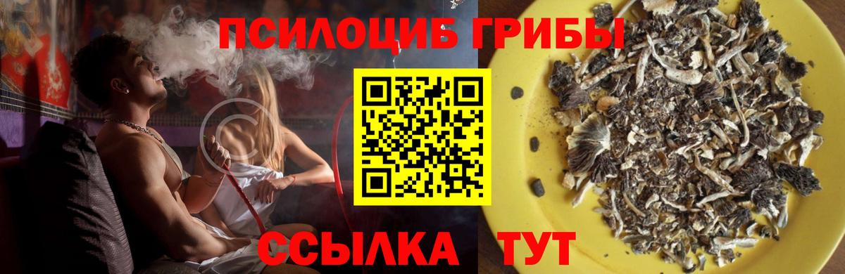 Псилоцибиновые грибы Magic Shrooms  Воскресенск 